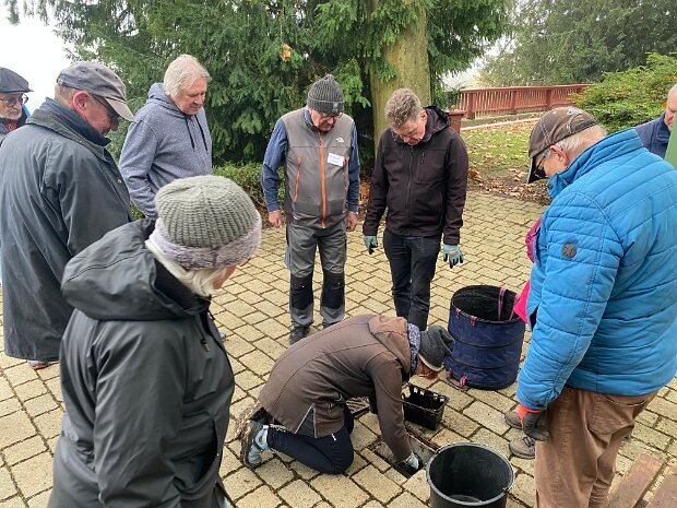 20251108 AE Weinberg